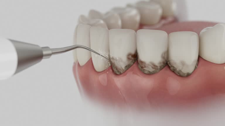 Reliable Dental contractor in Sevierville, TN by Dentist Open Now